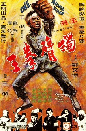 One Armed Boxer/chinese Professionals movie poster